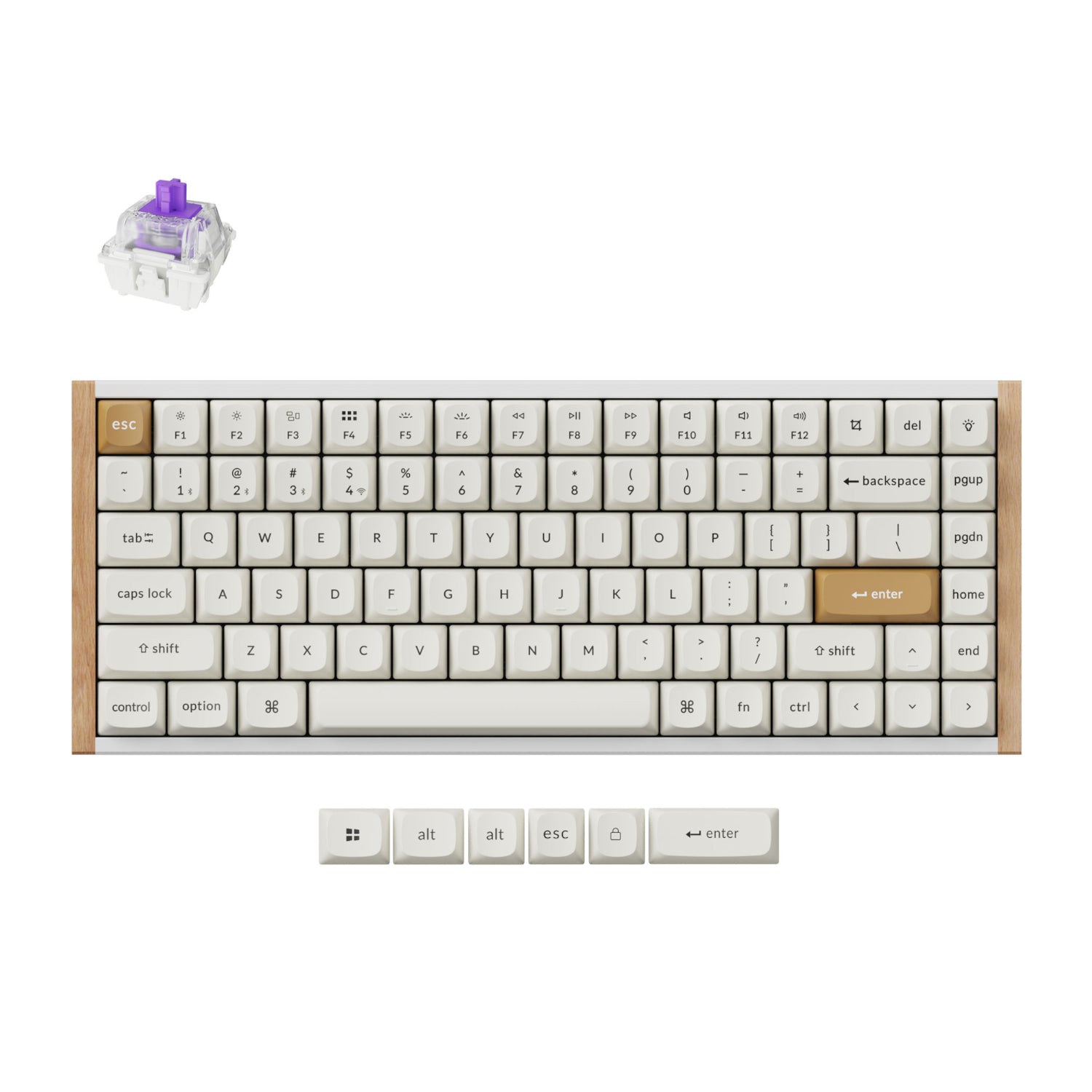 https://www.syntech.co.za/wp-content/uploads/2024/10/Keychron_K2H-Q1_wr_01a.jpg | https://www.syntech.co.za/wp-content/uploads/2024/10/Keychron_K2H-Q1_wr_02a.jpg | https://www.syntech.co.za/wp-content/uploads/2024/10/Keychron_K2H-Q1_wr_03a.jpg | https://www.syntech.co.za/wp-content/uploads/2024/10/Keychron_K2H-Q1_wr_04a.jpg | https://www.syntech.co.za/wp-content/uploads/2024/10/Keychron_K2H-Q1_wr_05a.jpg