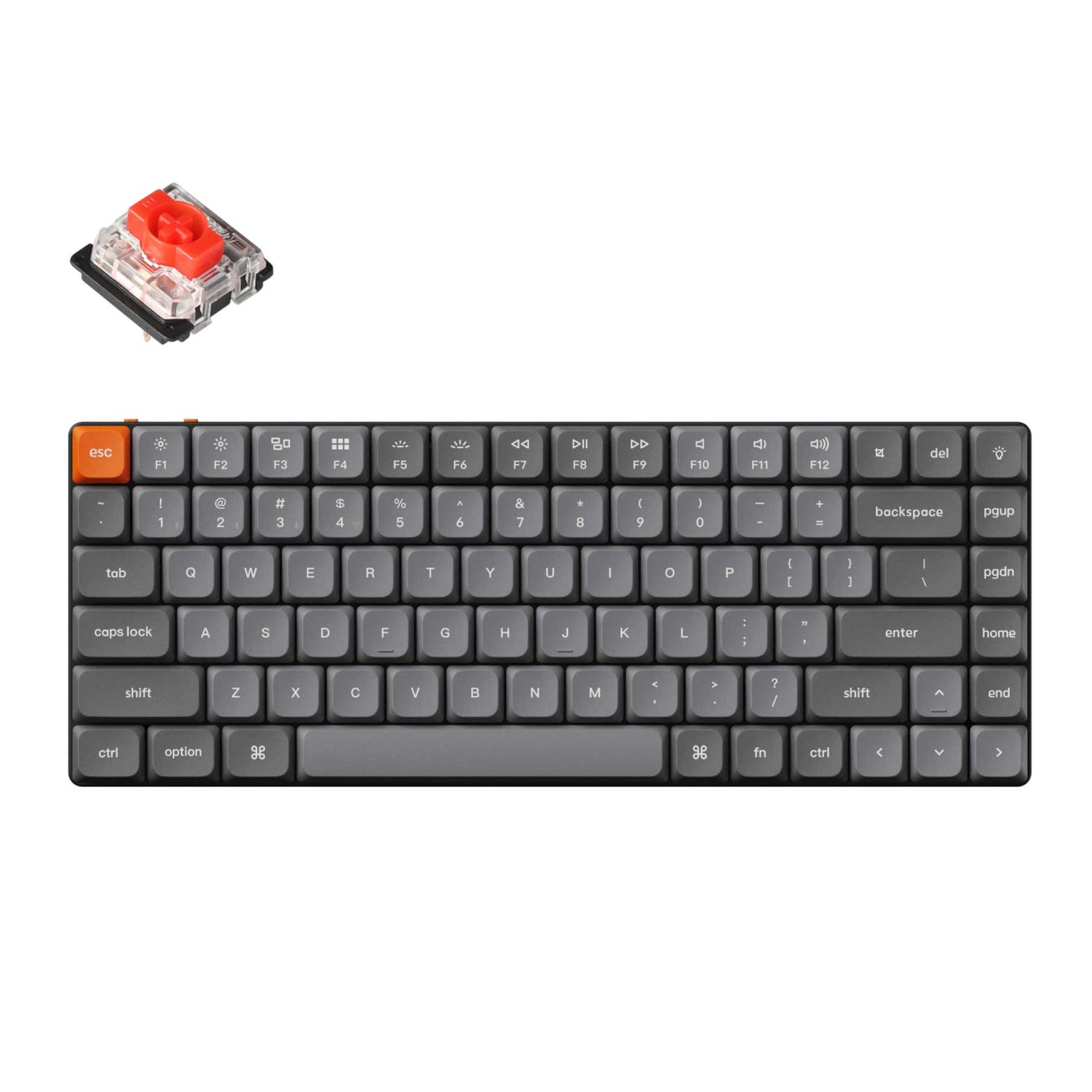 https://www.syntech.co.za/wp-content/uploads/2024/10/Keychron_K3M-H1_wr_01a.jpg | https://www.syntech.co.za/wp-content/uploads/2024/10/Keychron_K3M-H1_wr_02a.jpg | https://www.syntech.co.za/wp-content/uploads/2024/10/Keychron_K3M-H1_wr_03a.jpg | https://www.syntech.co.za/wp-content/uploads/2024/10/Keychron_K3M-H1_wr_04a.jpg | https://www.syntech.co.za/wp-content/uploads/2024/10/Keychron_K3M-H1_wr_05a.jpg