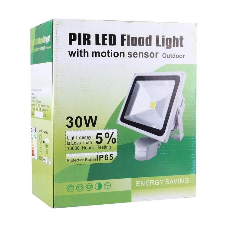 2250LM with Remote Control, AC 110-265V, 30W