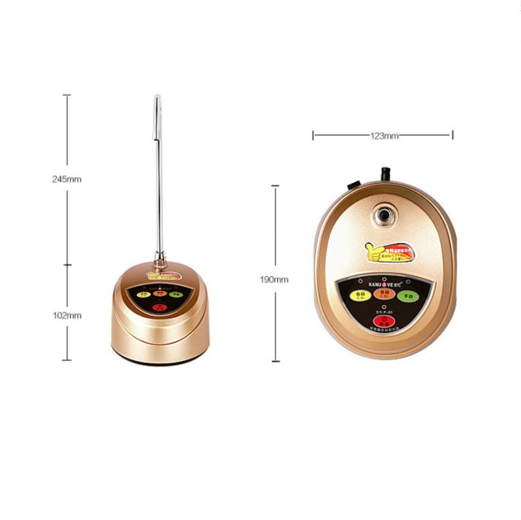 KAMJOVE P-01 Barreled Automatic Water Dispenser Electric Water Absorber CN Plug, P-01 (Gold), Black With Display