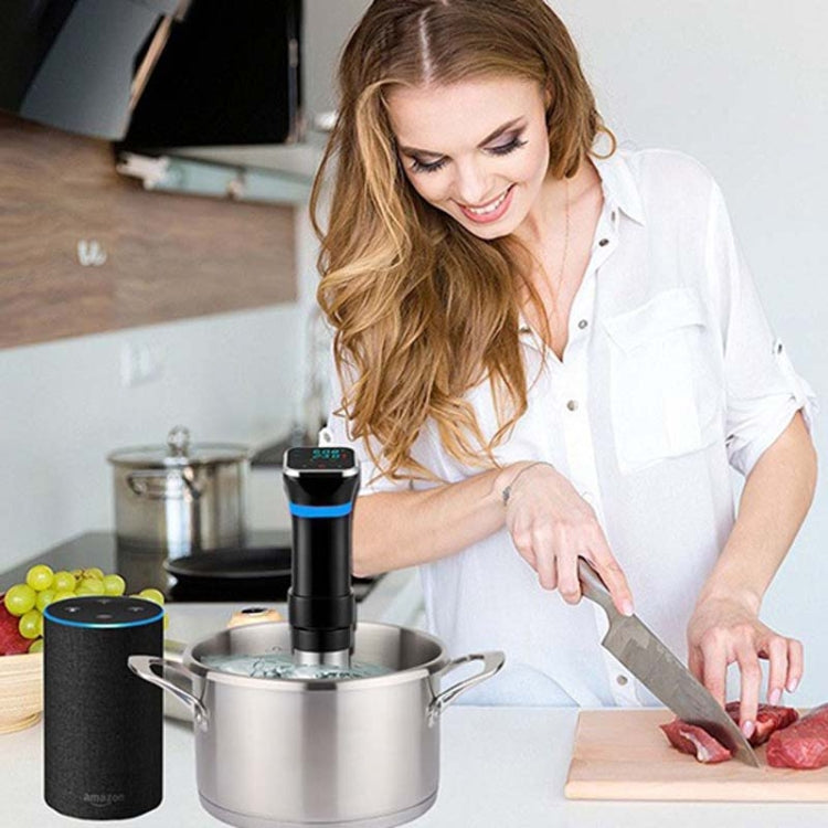 Low Temperature Slow Cooker Thawed Vacuum Steak Machine, UK Plug, US Plug, EU Plug, AU Plug