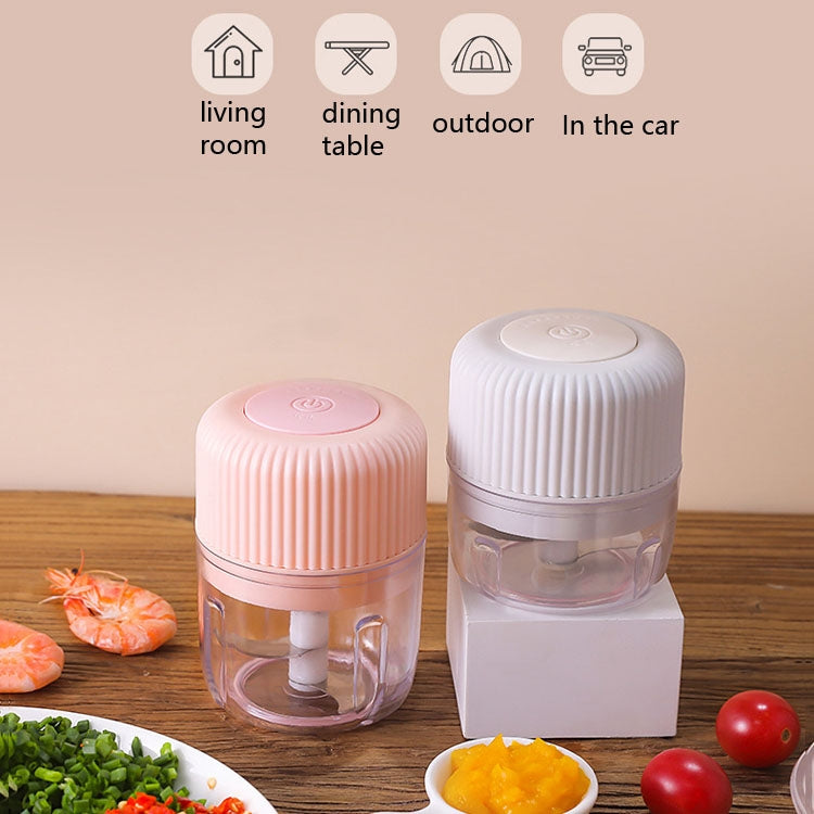 Household Vegetable Cutting Electric USB Garlic Masher Baby Mini Cooking Machine Baby Food Supplement Machine, 100ml, 250ml, 100ml + 250ml