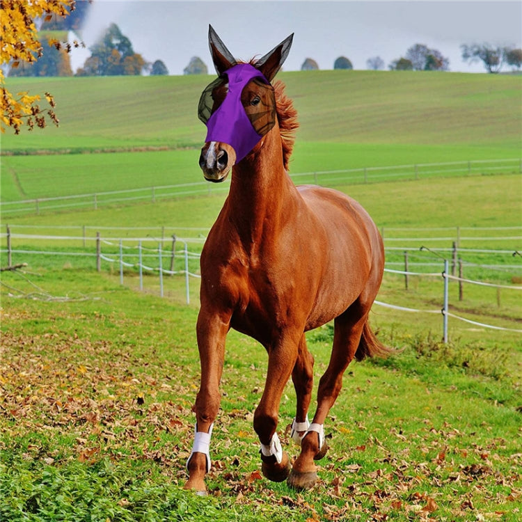 MMZ-001 Breathable Horse Mask Mosquito Insect And Fly Mask Equestrian Supplies, Horse Mask (Purple), Horse Mask (Rose Red), Horse Mask (Grey), Horse Mask (Black)