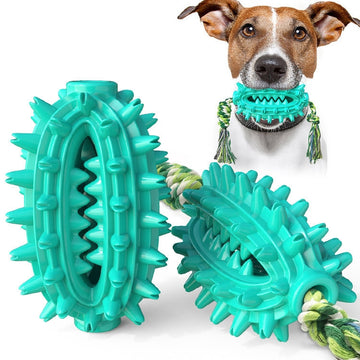 Dog Toy With Rope Prickly Pear Molar Stick Dog Toothbrush, Lake Blue, Green, Yellow