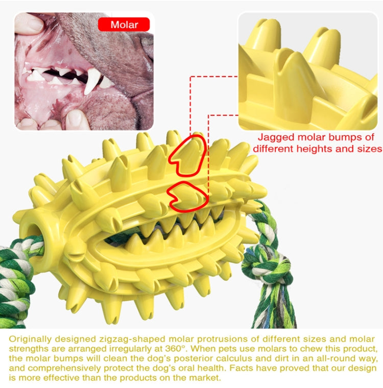 Dog Toy With Rope Prickly Pear Molar Stick Dog Toothbrush, Lake Blue, Green, Yellow