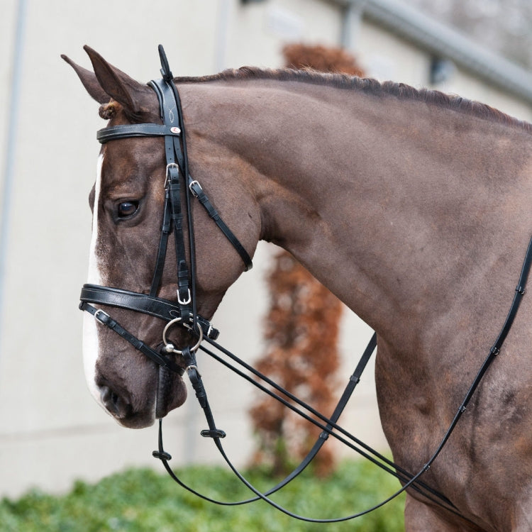3m Horse Side Reins Elastic Equestrian Training Rope, Horse Side Reins
