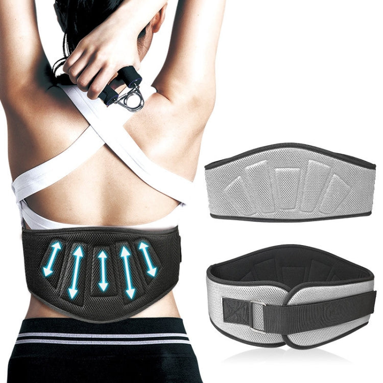 Sports Waist Support Squat Weightlifting Training Belt, Size:, M, L, XL