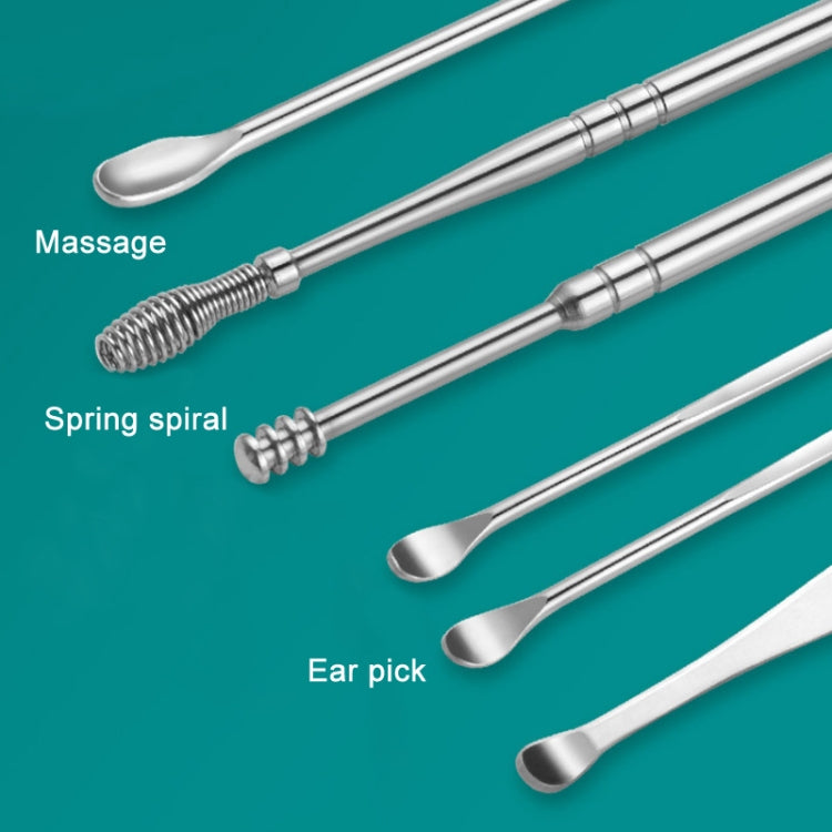 6 In 1 Stainless Steel Spring Spiral Portable Ear Pick, Black Leather Case, Black
