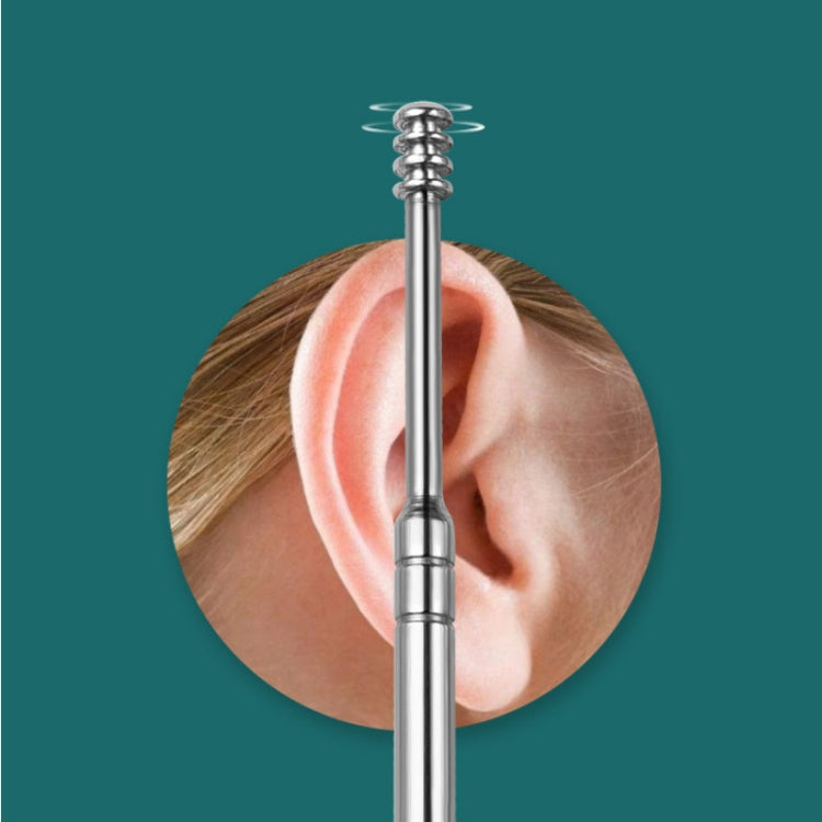 6 In 1 Stainless Steel Spring Spiral Portable Ear Pick, Black Leather Case, Black