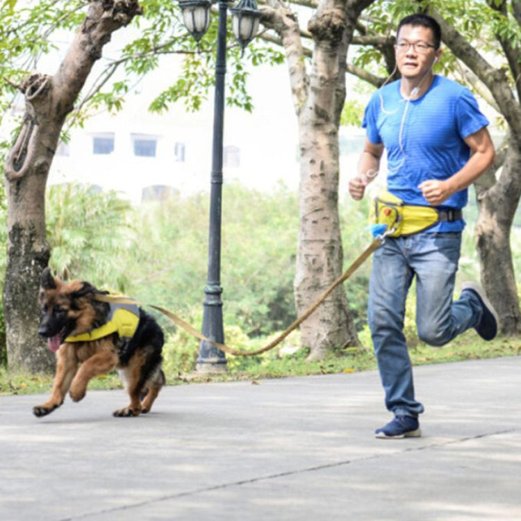Lovoyager Pet Training Waist Bag Outdoor Walking Dog Snack Pocket, Lovoyager Yellow, Lovoyager Orange, Lovoyager Blue