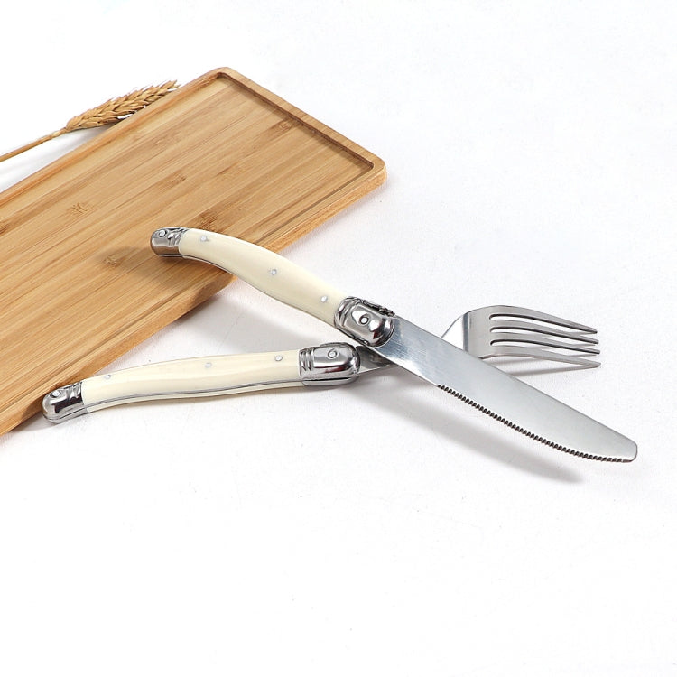 Stainless Steel Knife Fork Spoon Set Plastic Handle Western Tableware, 3 In 1, 4 In 1, 6 Spoons, 6 Tea Spoons, 6 Knives, 6 Forks