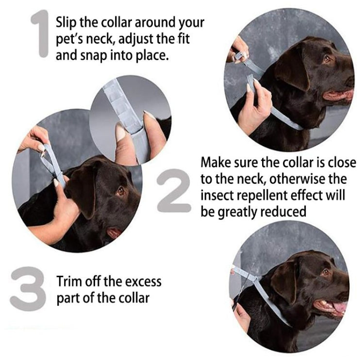 Flea and Tick Collar for Dogs Cats With Aluminum Case, 72cm Gray, 72cm Orange, 72cm Blue, 38cm Orange, 38cm Pink, 38cm Blue